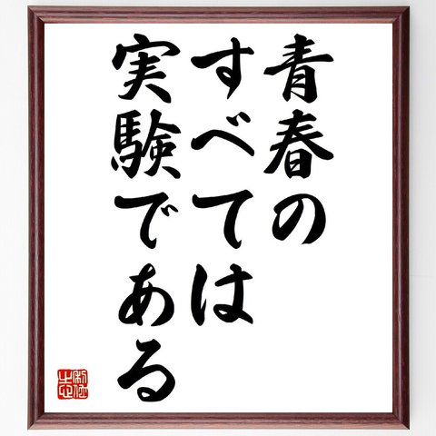 名言「青春のすべては実験である」額付き書道色紙／受注後直筆（V0462）