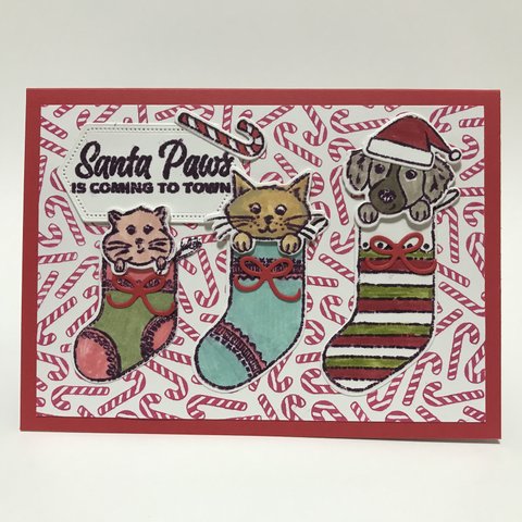 クリスマスカード「SWEET LITTLE STOCKINGS」      stampin スタンピンアップ プレゼント 靴下 キャンディケーン  イヌ ネコ ハムスター  動物 