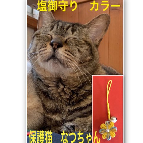 花の塩御守♪保護猫資金☆黄色系