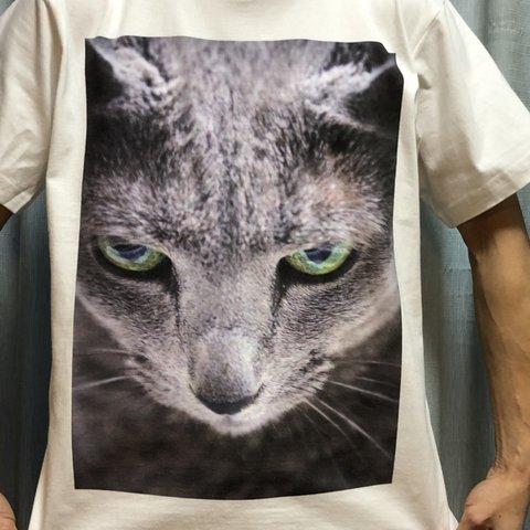 ねこTシャツ【F0006】