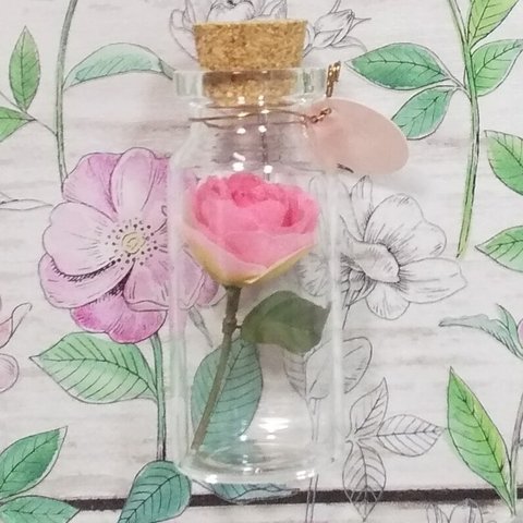 ﾐﾆ布花♡薔薇＊ﾌﾟﾗﾑ·ﾏﾘｰ