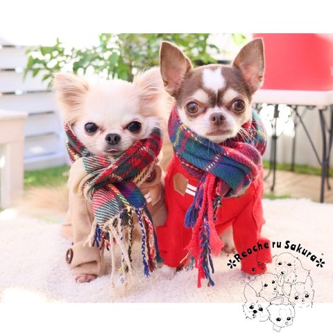 【再販】犬マフラー タータンチェック わんこ ストール ハンドメイド インスタ映え 防寒 秋冬 イルミネーション 撮影 コーディネート おしゃれ オーダー 小物 グッズ  赤 ベージュ入荷