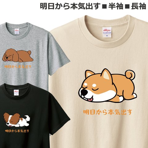 Tシャツ 犬 おしゃれ おもしろ いぬ ティシャツ