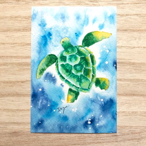 🐢透明水彩画「幸せを運ぶウミガメ」イラストポストカード２枚セット　暑中見舞い　残暑見舞い　カメ　亀　海亀　海　開運🐢