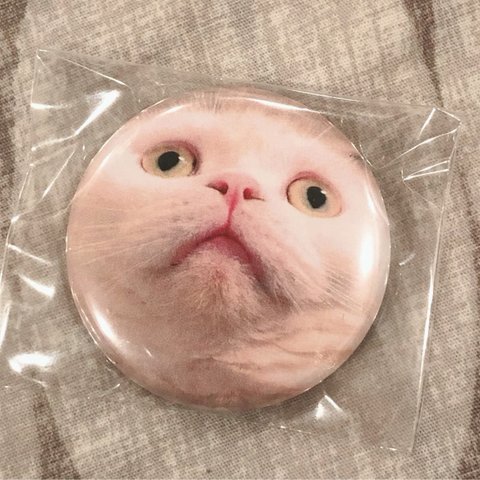 むく 缶バッジ  38mm 【もぐらねこ】1個 