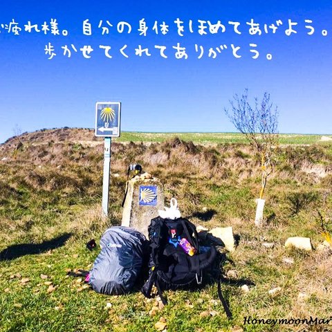 ⑧【2枚組】サンティアゴ巡礼で集めた写真と拾った言葉