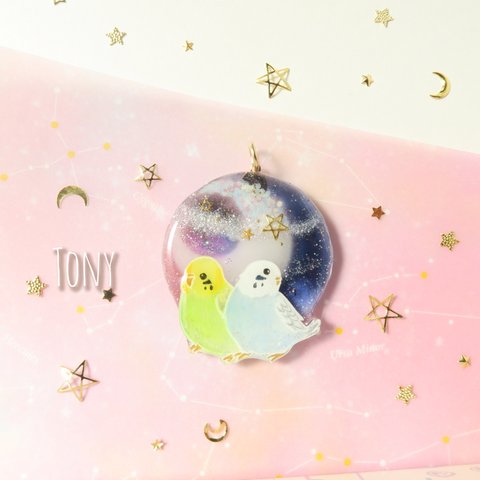 ✵夜空とセキセイインコ✵