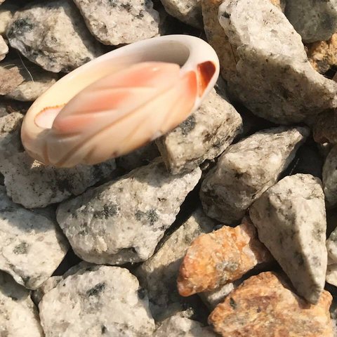 natural mother of pearl leaf shaped ring