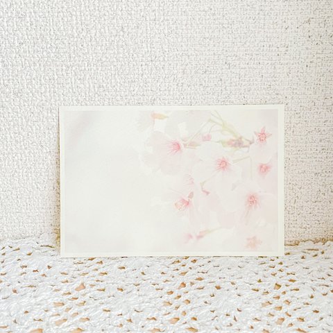 桜のポストカード　p_00027
