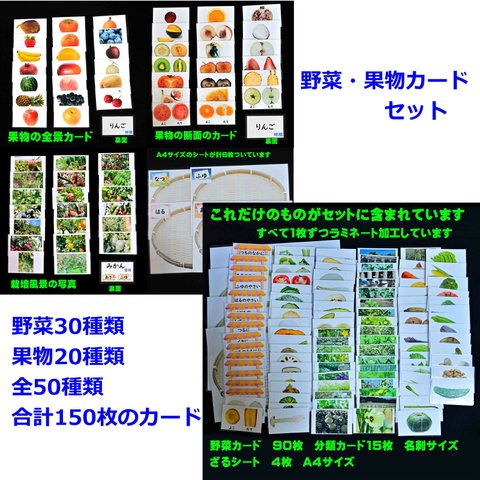 果物カードセット＆野菜カードセット 全50種類　小学校受験にも　生活科の教材にも