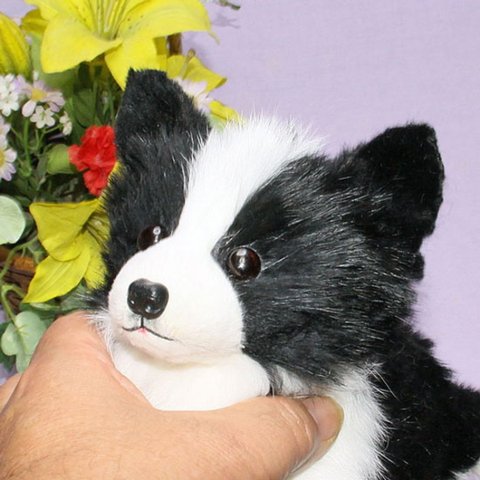 　ボーダーコリー  リアルファーのぬいぐるみ  犬 ぬいぐるみ  オーダーメイド 