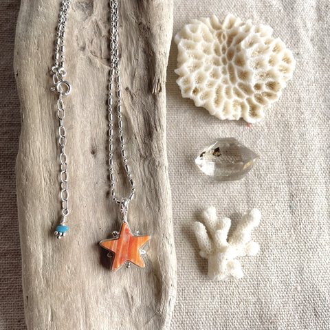  《silver925》 orange star ✼ spiny shell necklace ❃