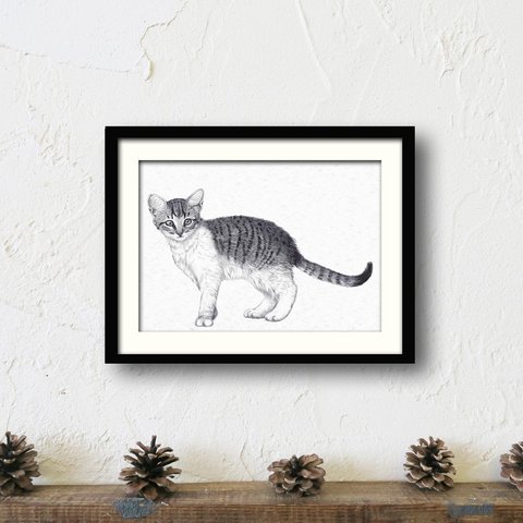 【トラ子猫ポスター】アートプリント　モノクロペン画　