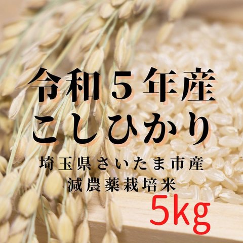 ◆コシヒカリ5kg◆令和５年産◆埼玉県さいたま市産◆精米玄米選択可◆