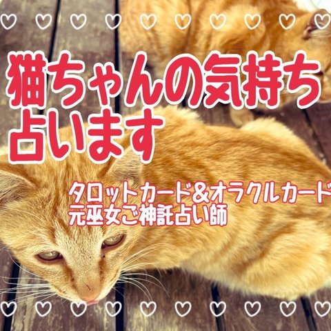 飼ってる猫ちゃんの気持ち占います★占い鑑定書送付★元巫女ご神託占い師★タロットカード＆オラクルカード★