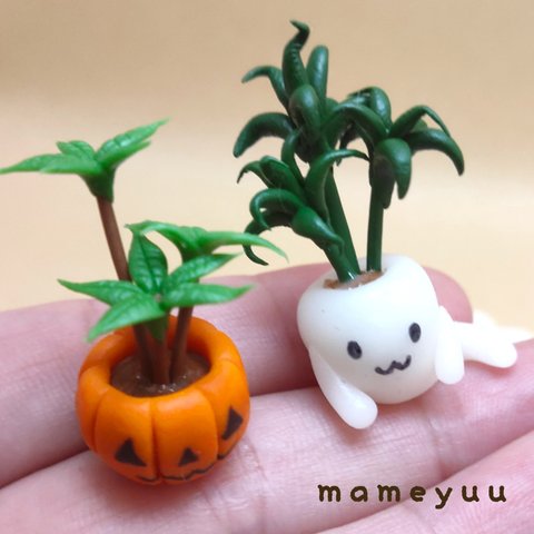 👻🎃の鉢植え2個セット②