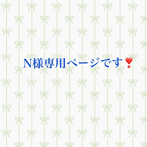 N様専用ページです❣️【ペットの毛で作る】イニシャルキーホルダー