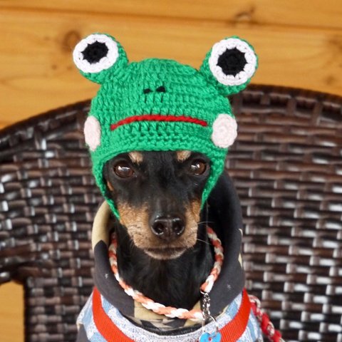 小型犬用 ケロケロ🐸カエル帽子