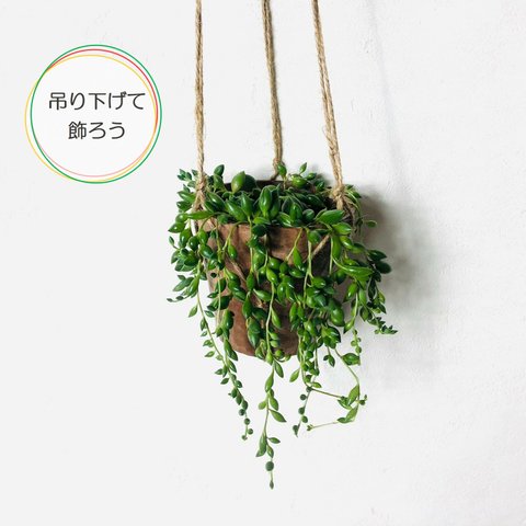 吊るして飾る　グリーンネックレス　ハンキングアロマ鉢　壁掛け　インテリア　観葉植物