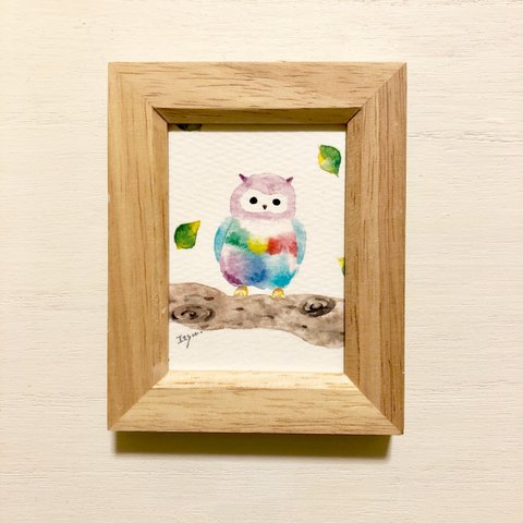 「虹色のフクロウ」 水彩画イラスト ミニ額  ふくろう