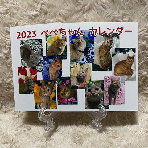 2023 ぺぺちゃん 月間 卓上カレンダー 