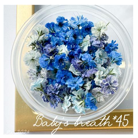 baby’s breath*45