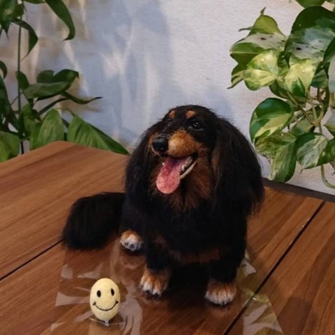 【オーダー】羊毛フェルト犬猫  20～30cm シェルティ プードル ポメラニアン 他