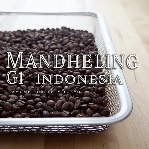 マンデリン G1『インドネシア スマトラ島』 コーヒー豆100g　【受注後焙煎】