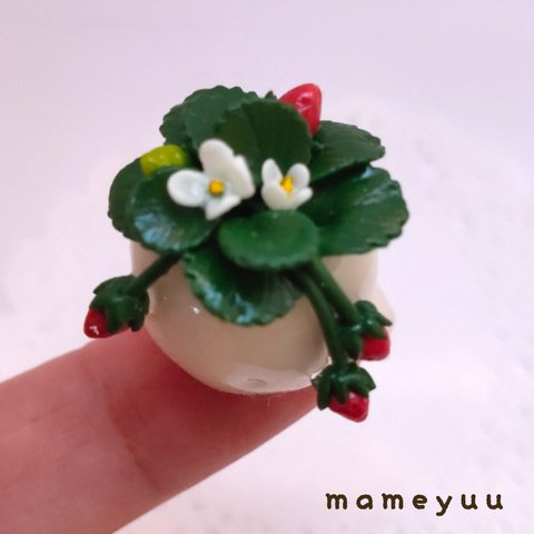 ミニチュア鉢植え　苺🍓2