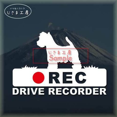 ウエストハイランドホワイトテリアの白色シルエットステッカー‼後方注意‼『DRIVE　RECORDER』