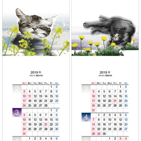 猫c　2019年度月捲りカレンダー