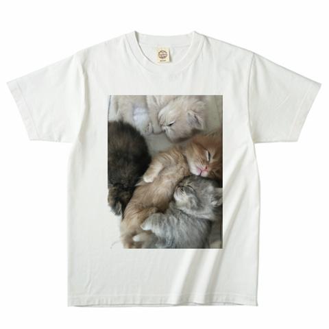 猫画像Tシャツ_001（カラー）