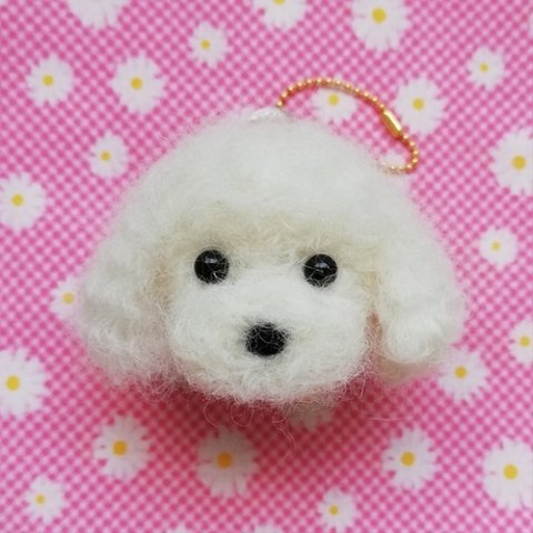 ちまっと可愛い♡羊毛トイプーちゃんキーホルダー☆犬