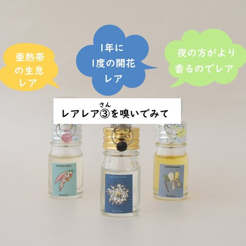 【再販】 レアレア③（さん）を嗅いでみて！　月下美人＆金銀花（スイカズラ）＆月桃の花　5ml×３　リアル花ノ香　アロマ香水　女性用香水