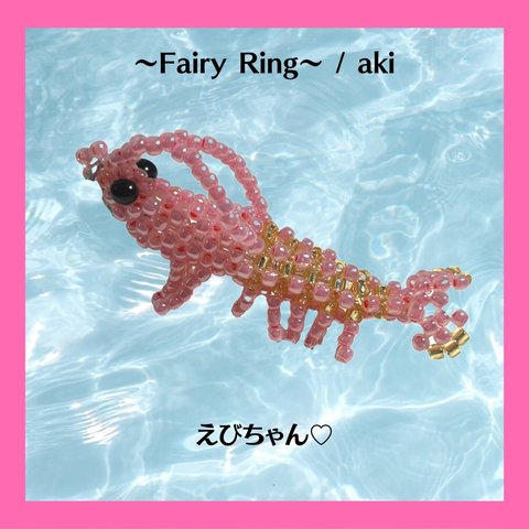 ＜えびちゃん♡＞【キット】 design/FairyRing aki