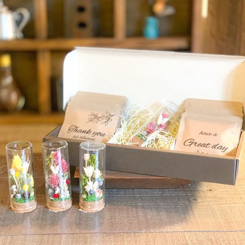 母の日・父の日[Flower & Coffee SET]ボトルフラワー(全8種)/メッセージドリップバック8パック