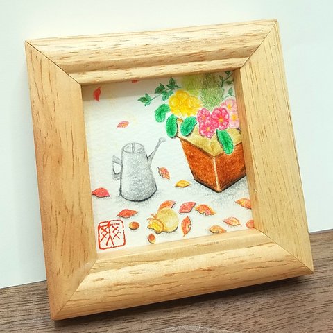 落ち葉と寄せ植えの絵　コニファー　プリムラ　落ち葉　ドングリ