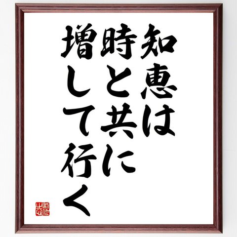 名言「知恵は時と共に増して行く」額付き書道色紙／受注後直筆（V3691）