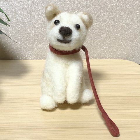 クリーム色の犬さん(赤いリード付けてみました)