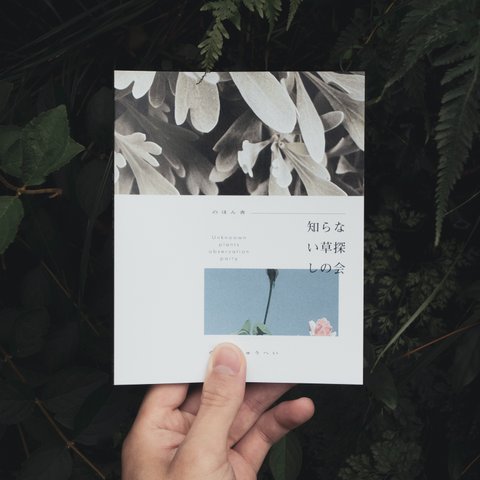 ZINE『知らない草探しの会』