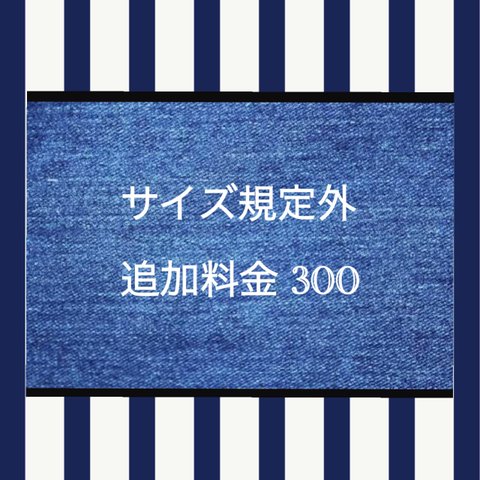 サイズ規定外・追加料金３００