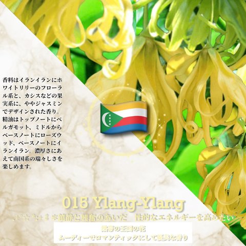 015：イランイラン /Ylang-Ylang 　(試香用サンプル配布)　＊香り詳細と商品紹介＊