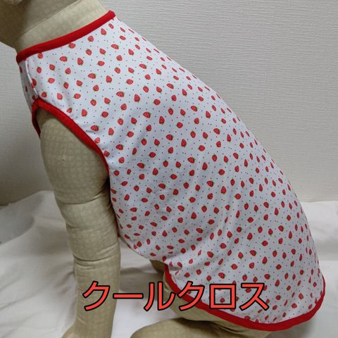 大型犬服クールクロスイチゴ柄