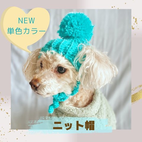 【犬用ニット帽】単色が大人可愛いニット帽子(ターコイズブルー)