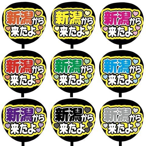 【即購入可】カンペうちわ文字　ファンサうちわ　撮影用　印刷応援文字　コンサート　ライブ　新潟から来たよ　メンカラ　推し色