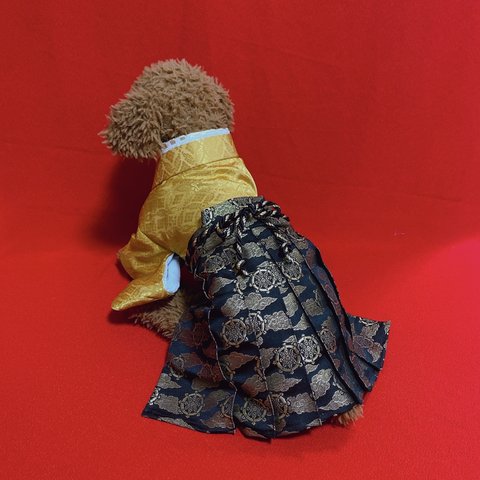 犬の袴✨犬用着物&袴セット 本格 金襴西陣織 和宝 金×黒