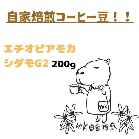 【コーヒー豆】(200g) エチオピア　モカ　シダモG2