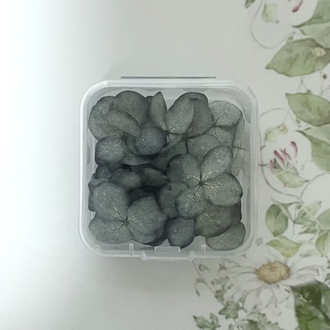 数量限定＊Natural Gray＊紫陽花アナベルドライフラワー