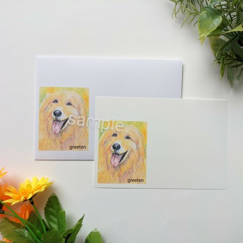 封筒とメッセージカードセット　ゴールデンレトリバー　犬グッズ　犬イラスト　