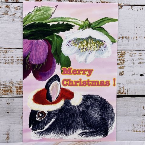 SALE クリスマスローズとうさぎちゃんクリスマスパーティーpart6🎄同柄クリスマスポストカード3枚セット　クリスマスカード